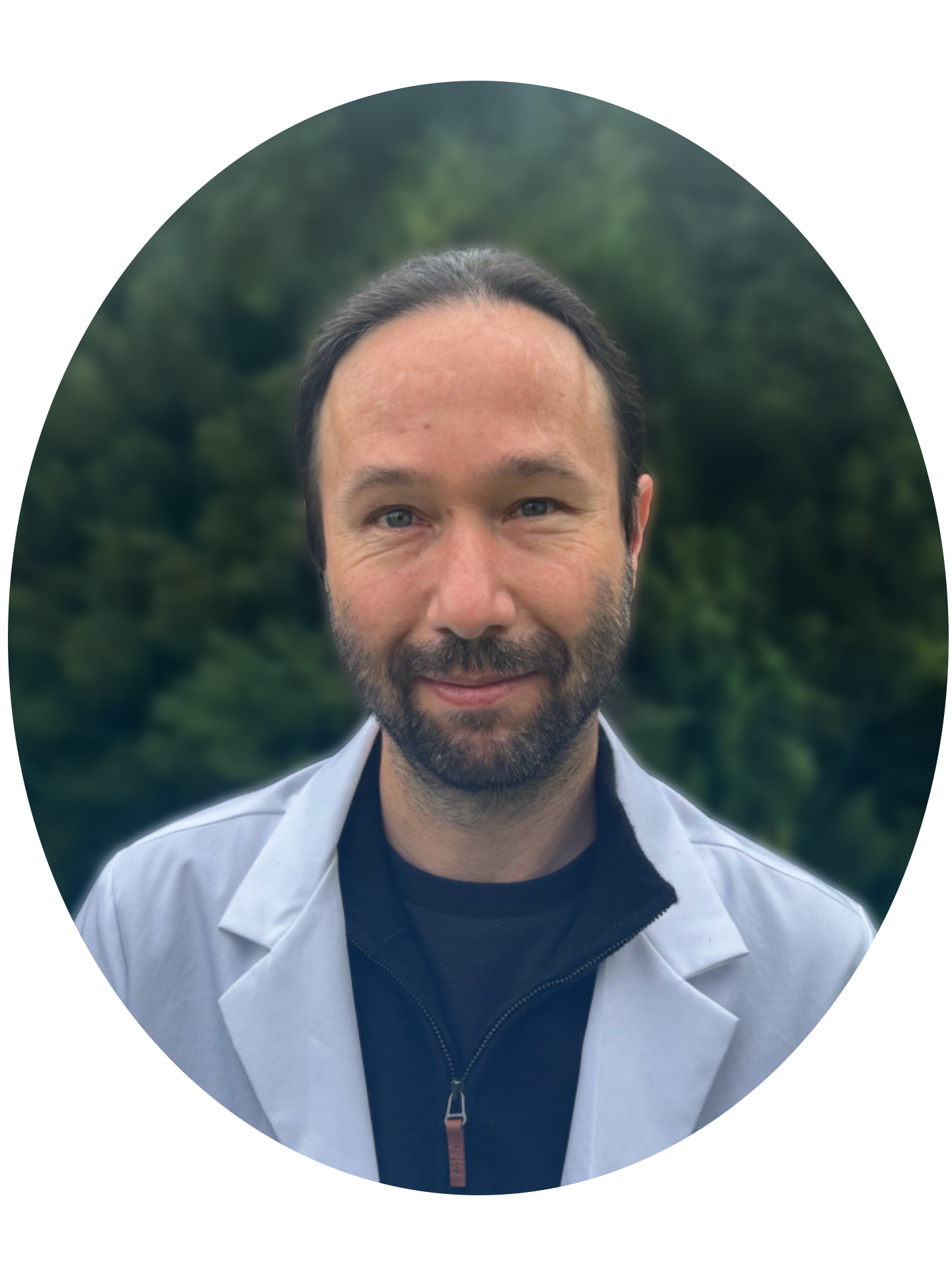 dereck shaw meridian acupuncture